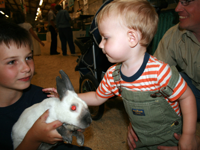 Loved the bunnies at the fair